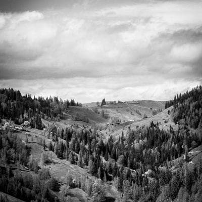 TIGER JACKPOT: THURSDAY NIGHT