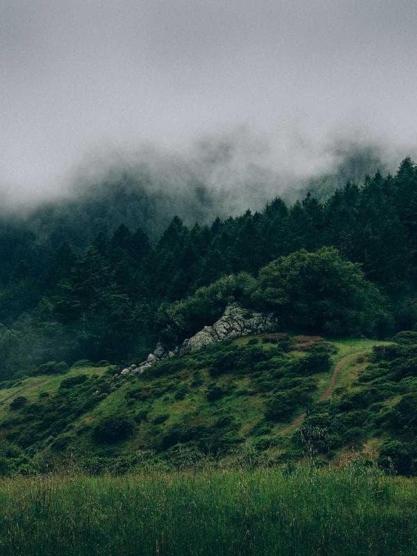 LOYALTY AWARD DAYS (QUARTERLY EVENT)