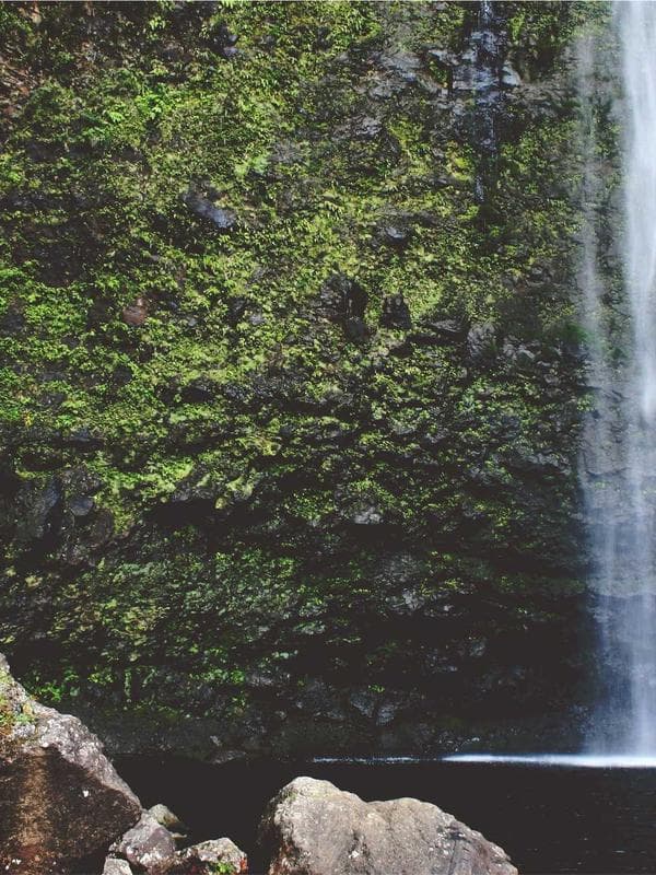 TIGER JACKPOT: THURSDAY NIGHT THRILLS!